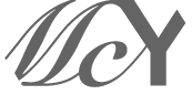 breezeYachting.swiss MCY logo 